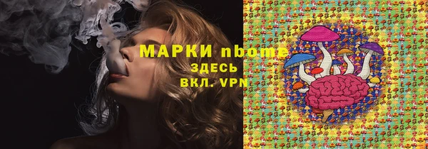 гашик Новодвинск