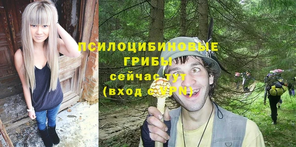 сатива Абдулино