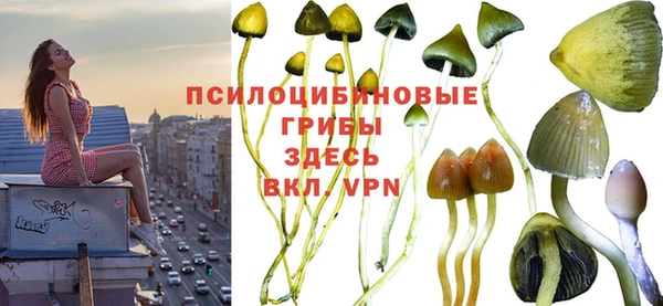 сатива Абдулино