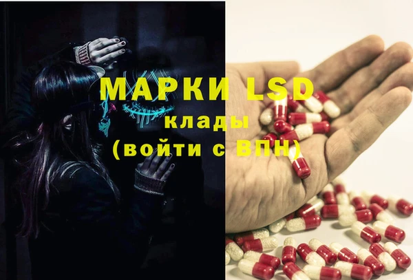 сатива Абдулино